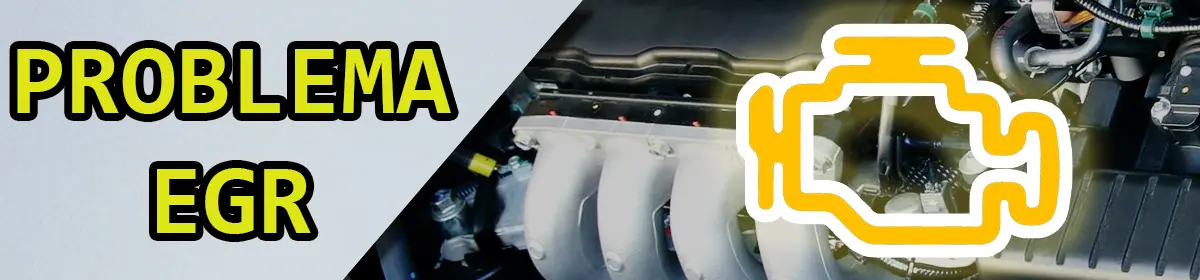 Ford EGR Problema